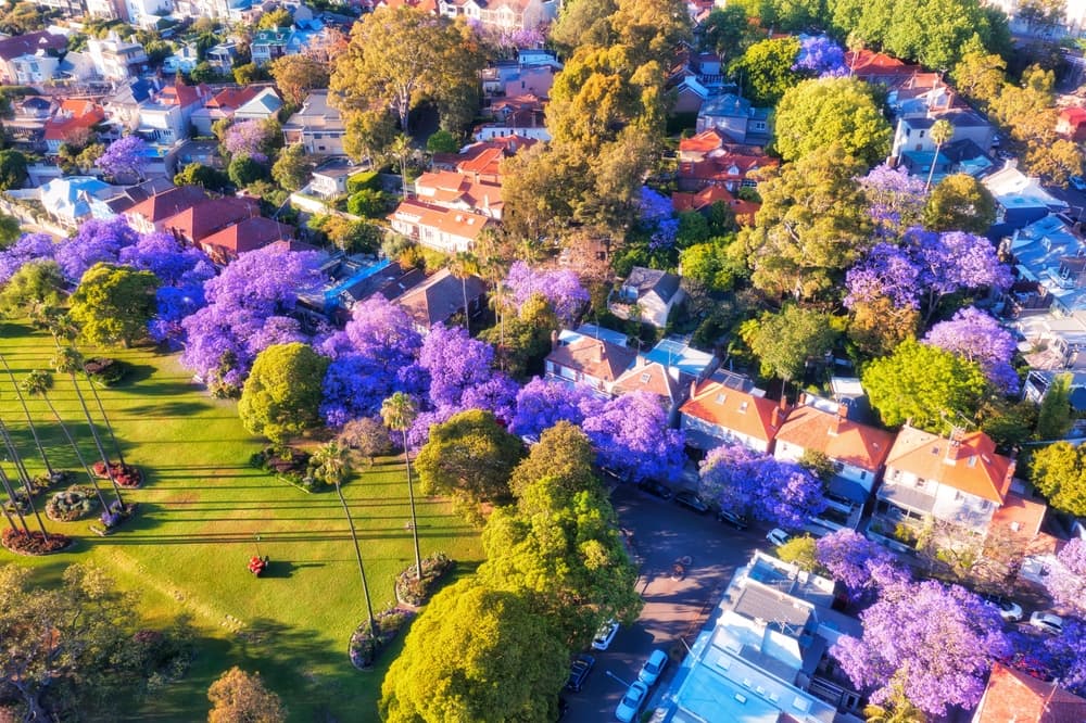 Nicolette Boele sets her agenda