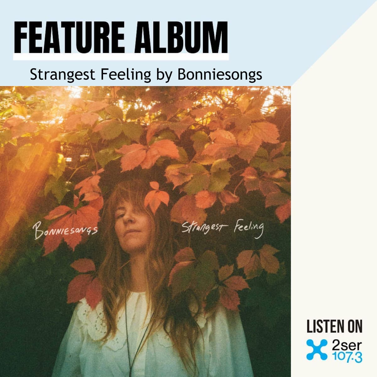 Strangest Feeling by Bonnie Songs