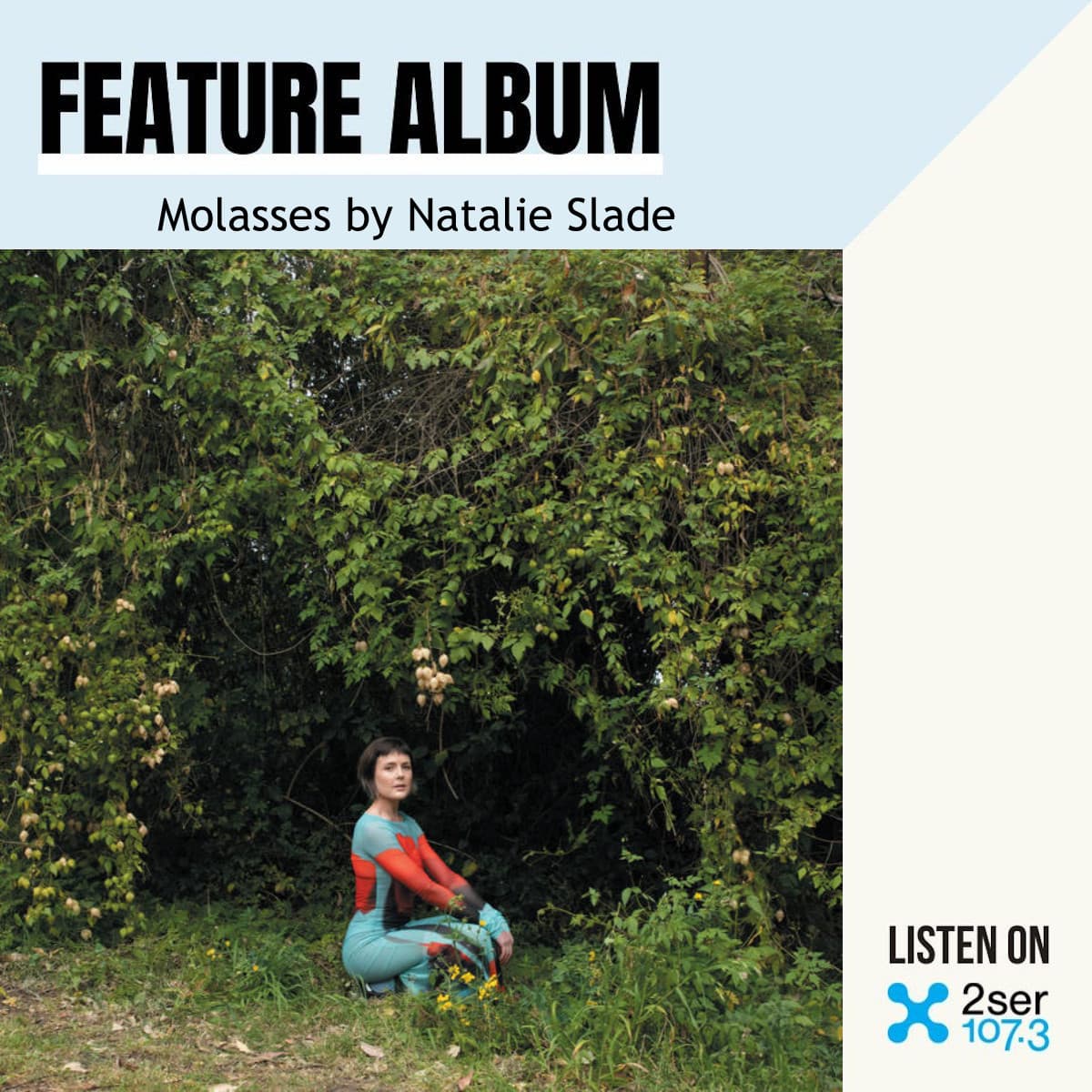 Molasses by Natalie Slade