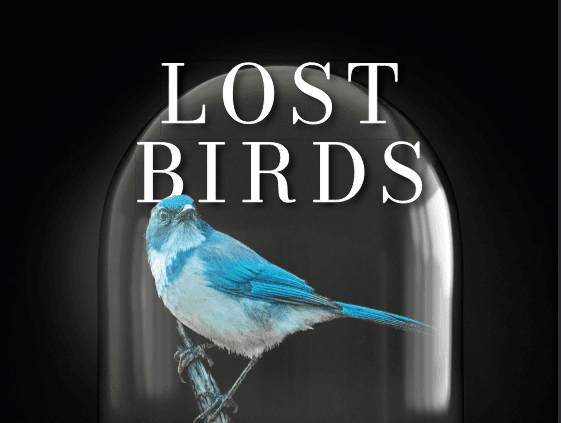 Brett Weymark talks ‘Lost Birds’, Sydney Philharmonia Choirs Upcoming Performance