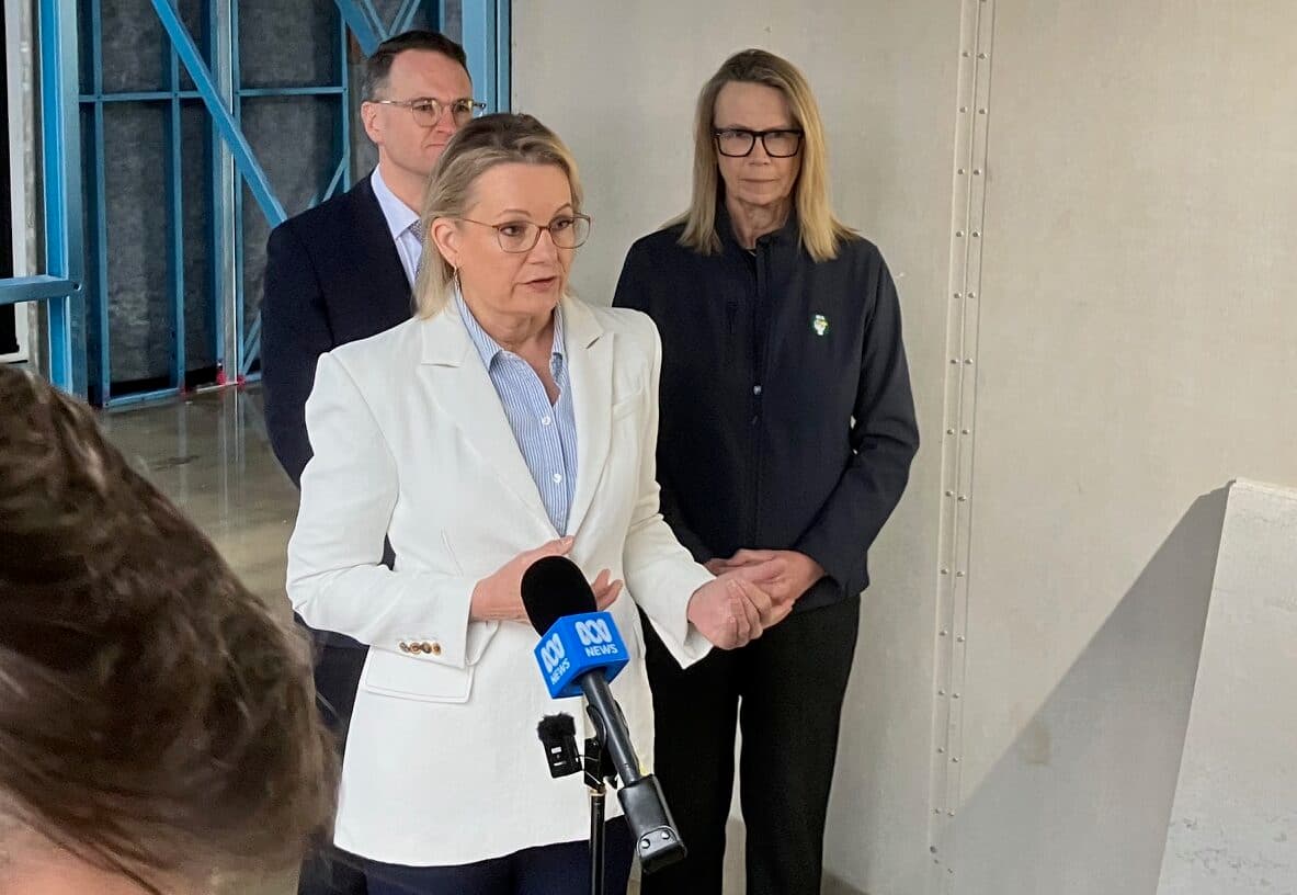 Sussan Ley critical of process of Rothman Visa Cancellation