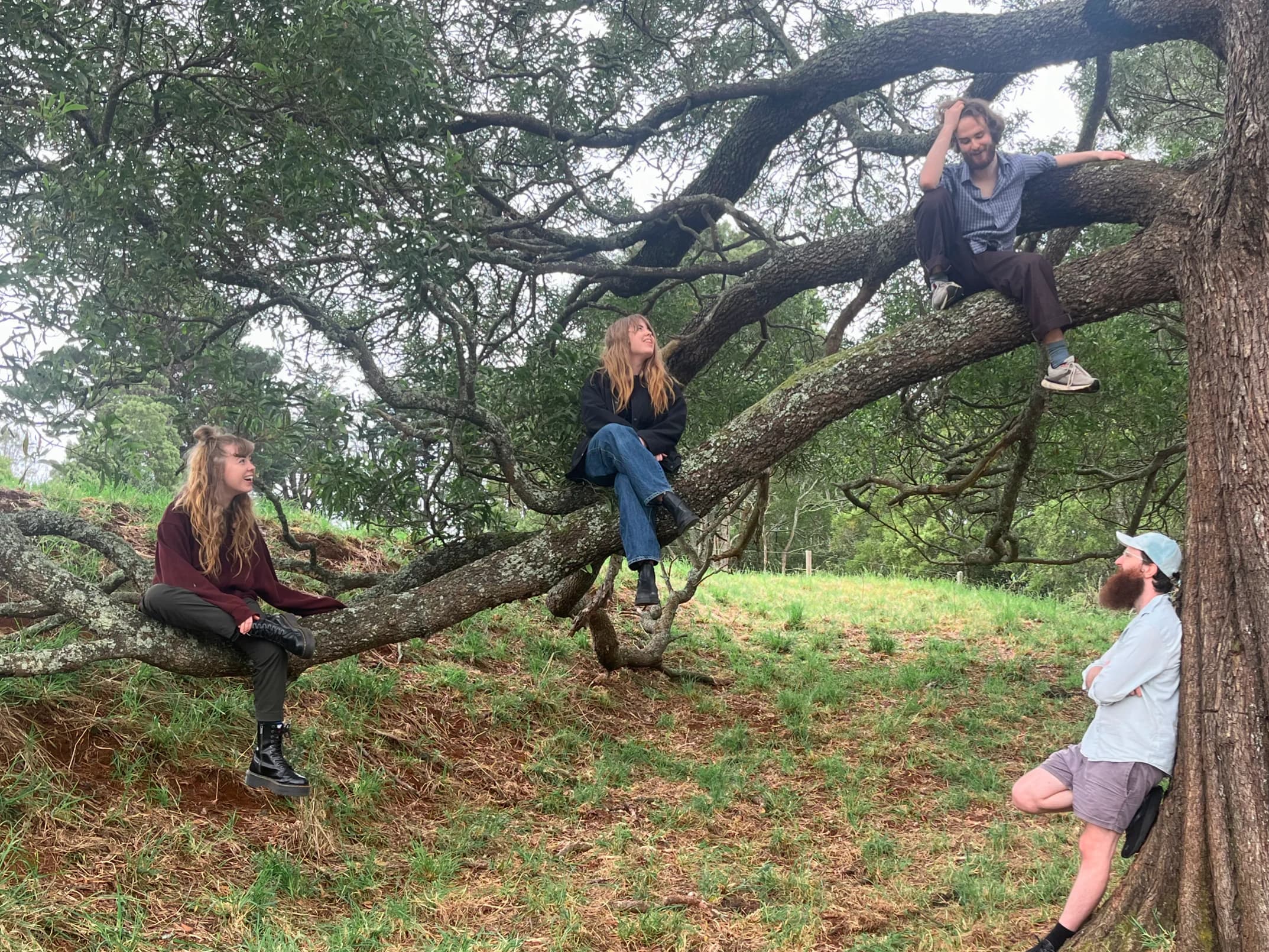 Ant Gallery yearn for the music