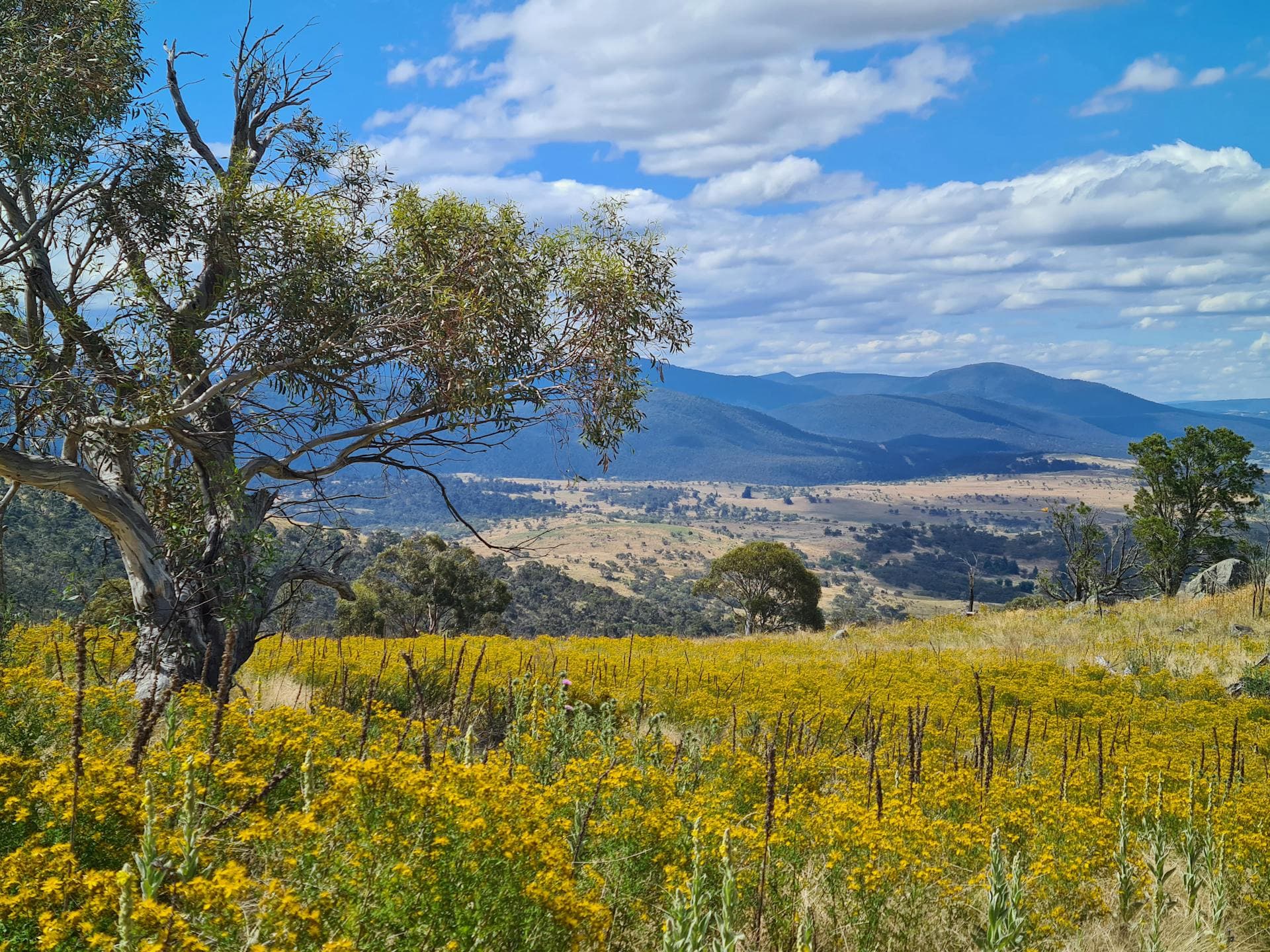 Environment needs to be an economic asset