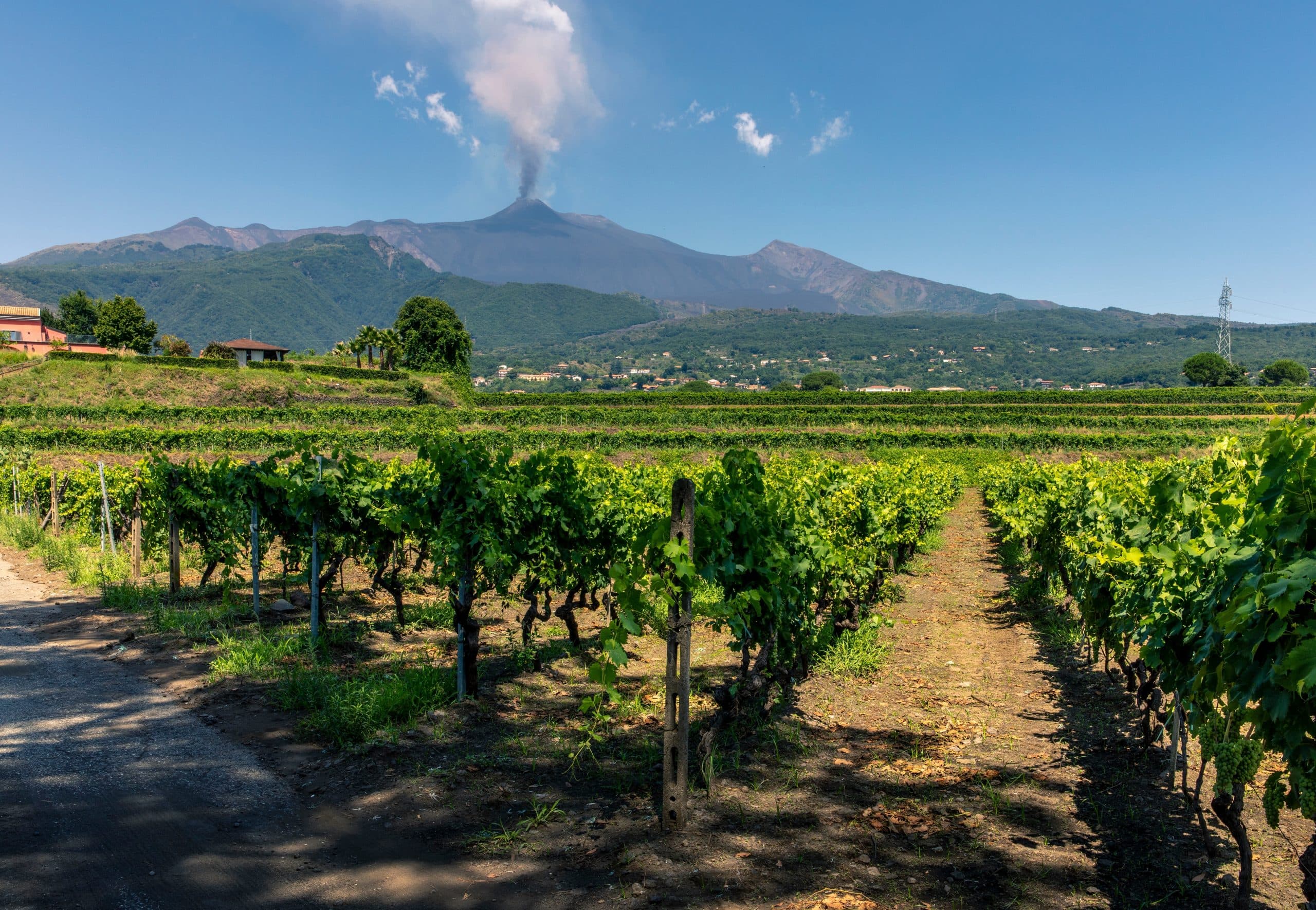 Wine Chat: Tour of Italy – Sicily, Mt. Etna and Nero d’Avola