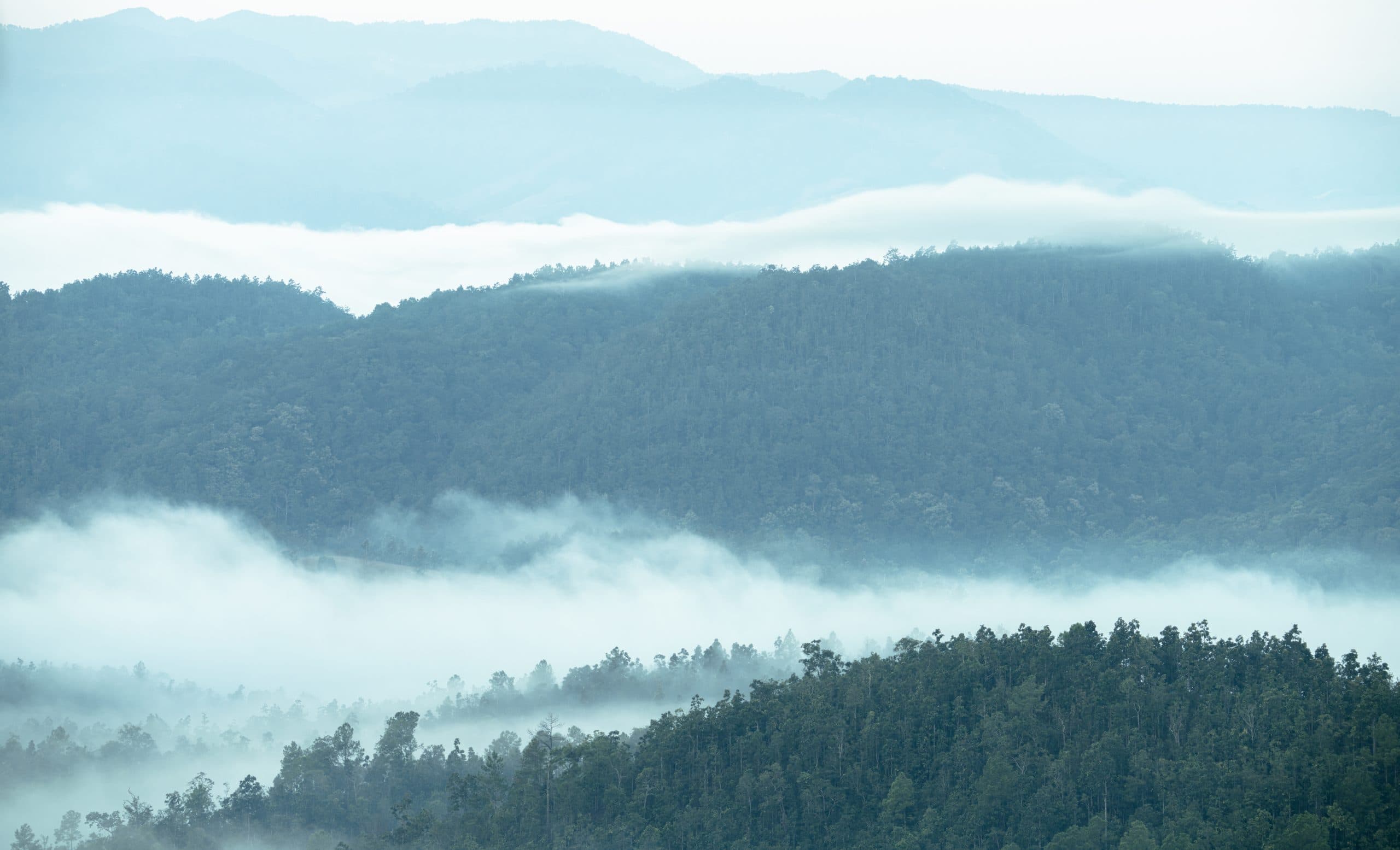 Creative Climate Unites Artists for Climate Action