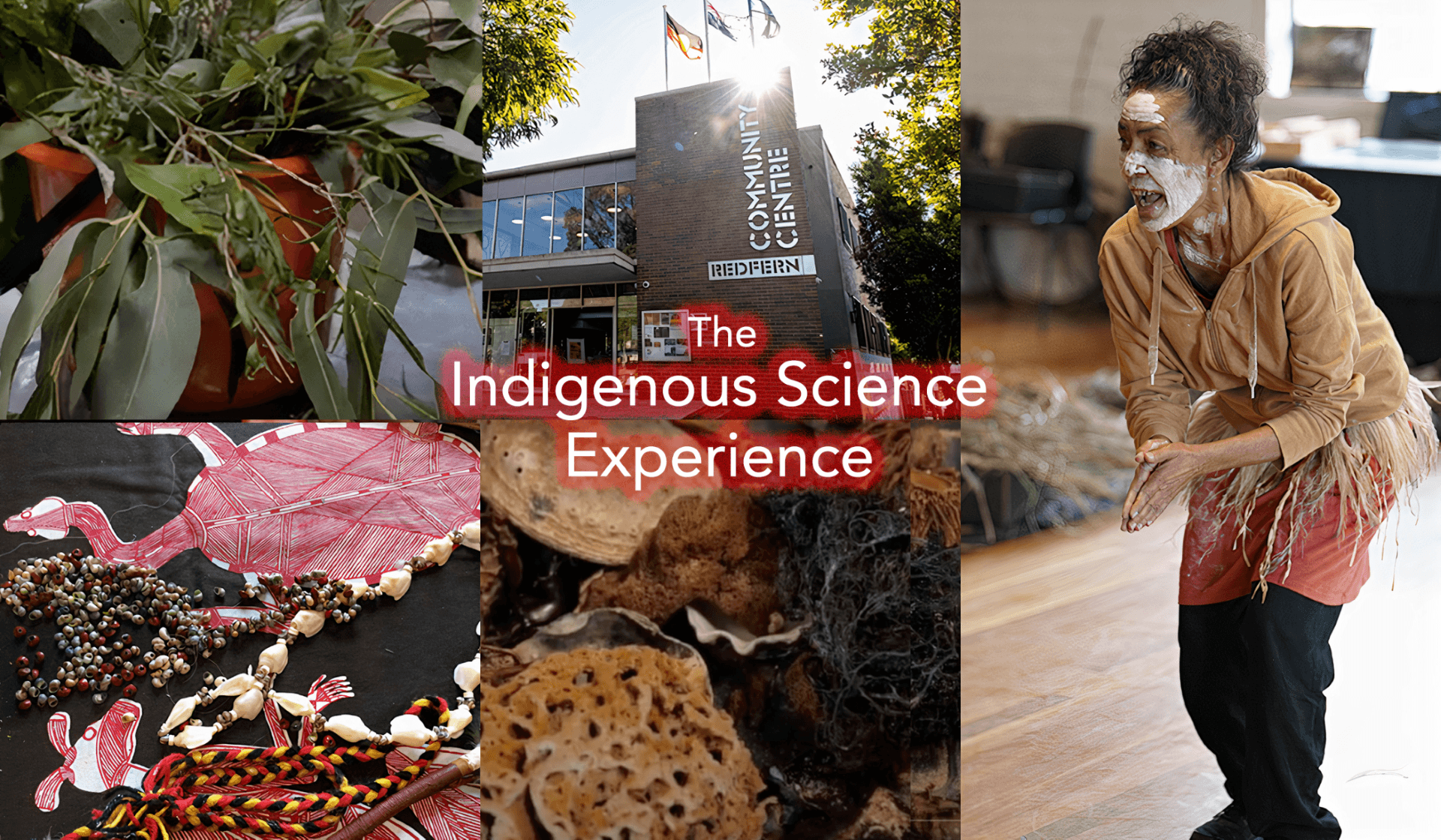 The Indigenous Science Experience