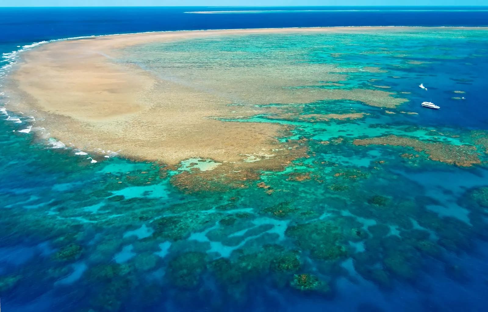 Great Barrier Reef Faces Sharpest Coral Decline in Decades