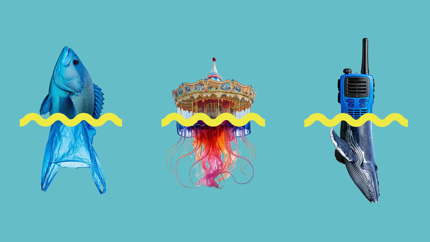 “Big Blue Ideas”- Plastic Oceans