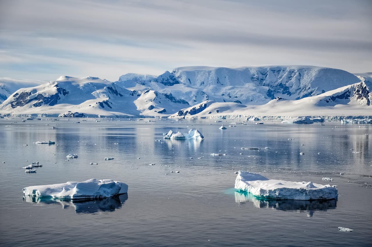 Coordinated action needed to protect Antarctica from threats: Report