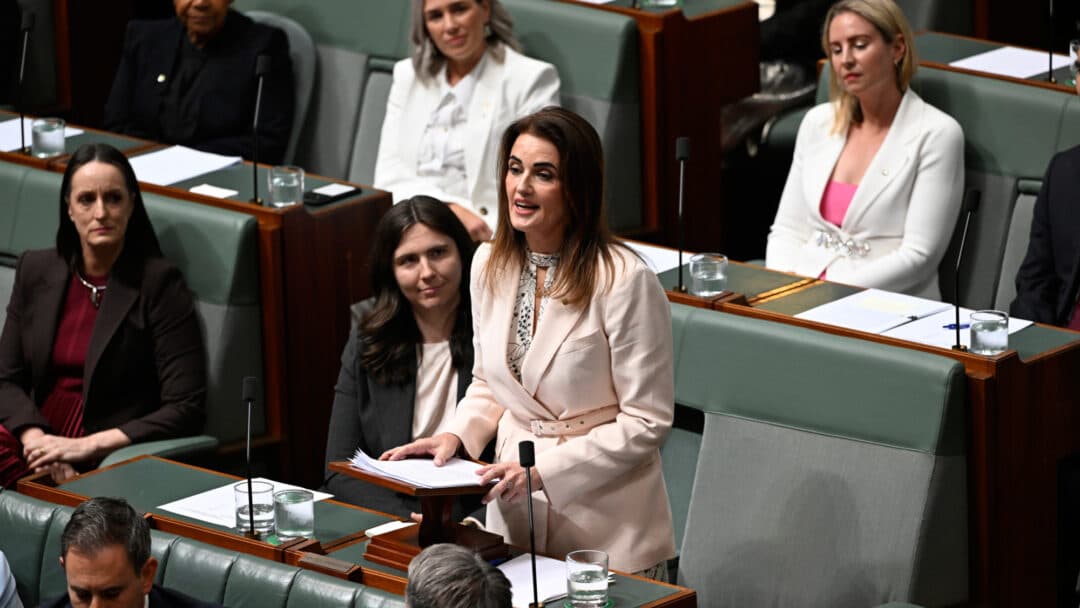 The journey of Ali France: navigating NDIS and politics