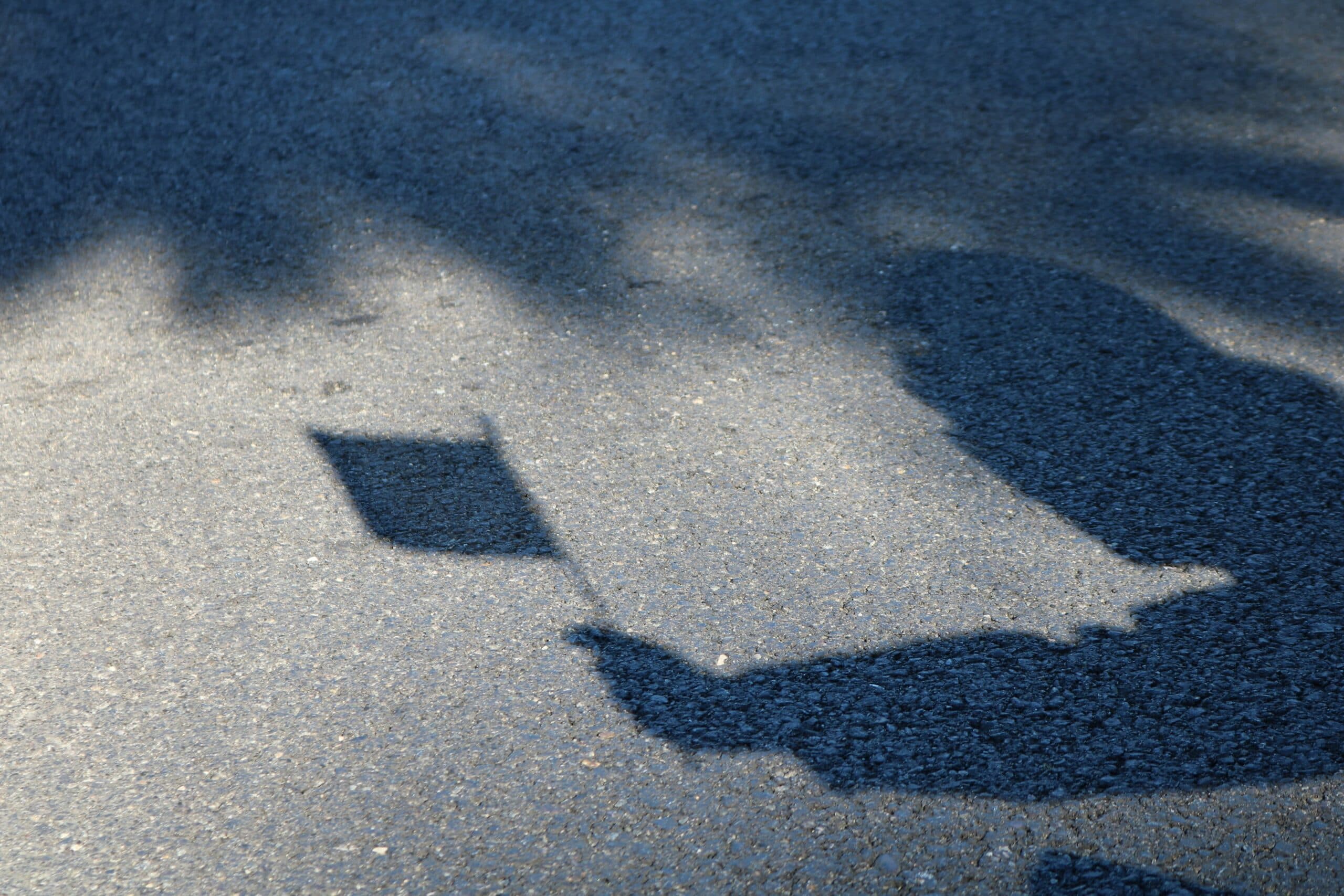 ‘Australian march’: divisive spin on anti-immigration and far-right views