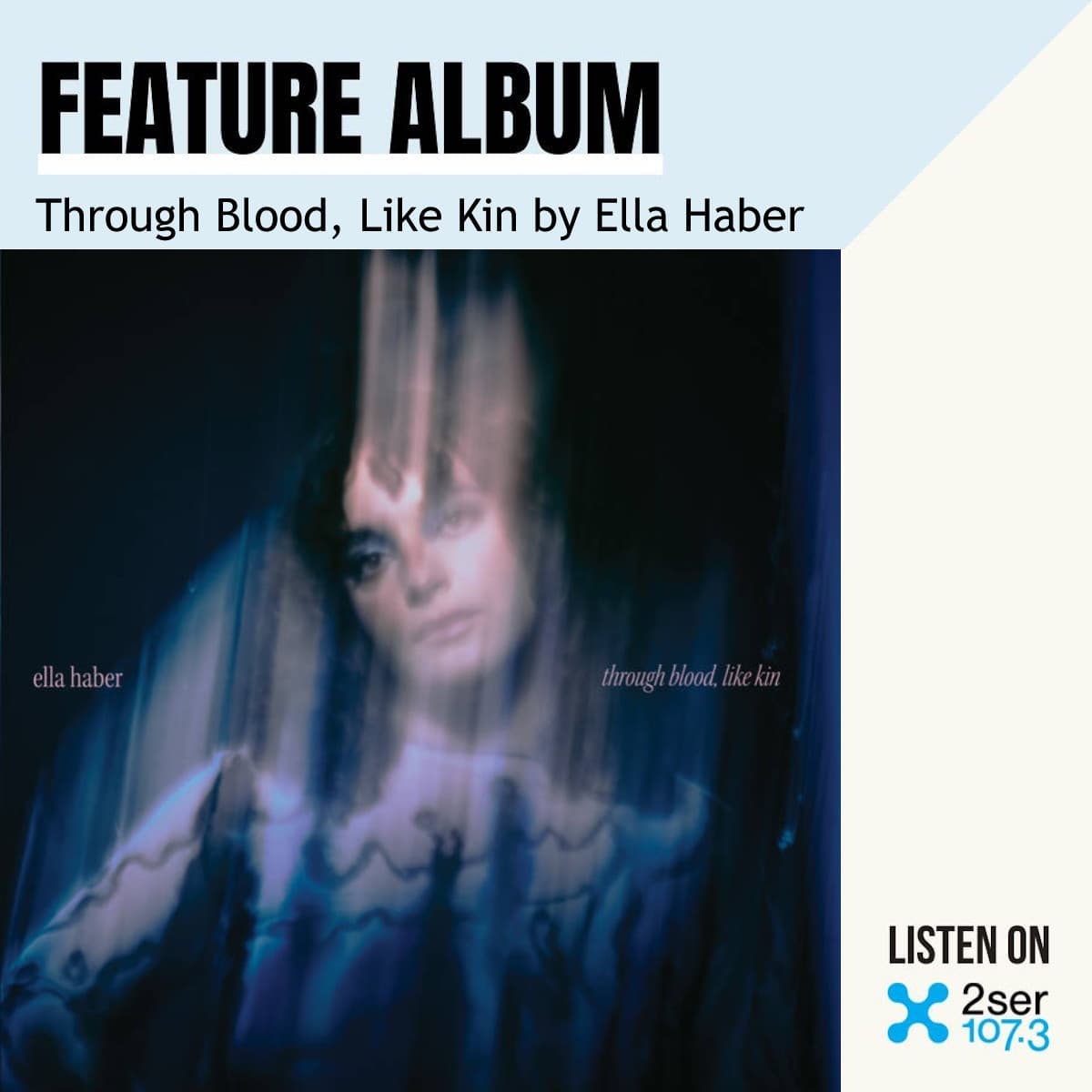 Through Blood, Like Kin by Ella Haber