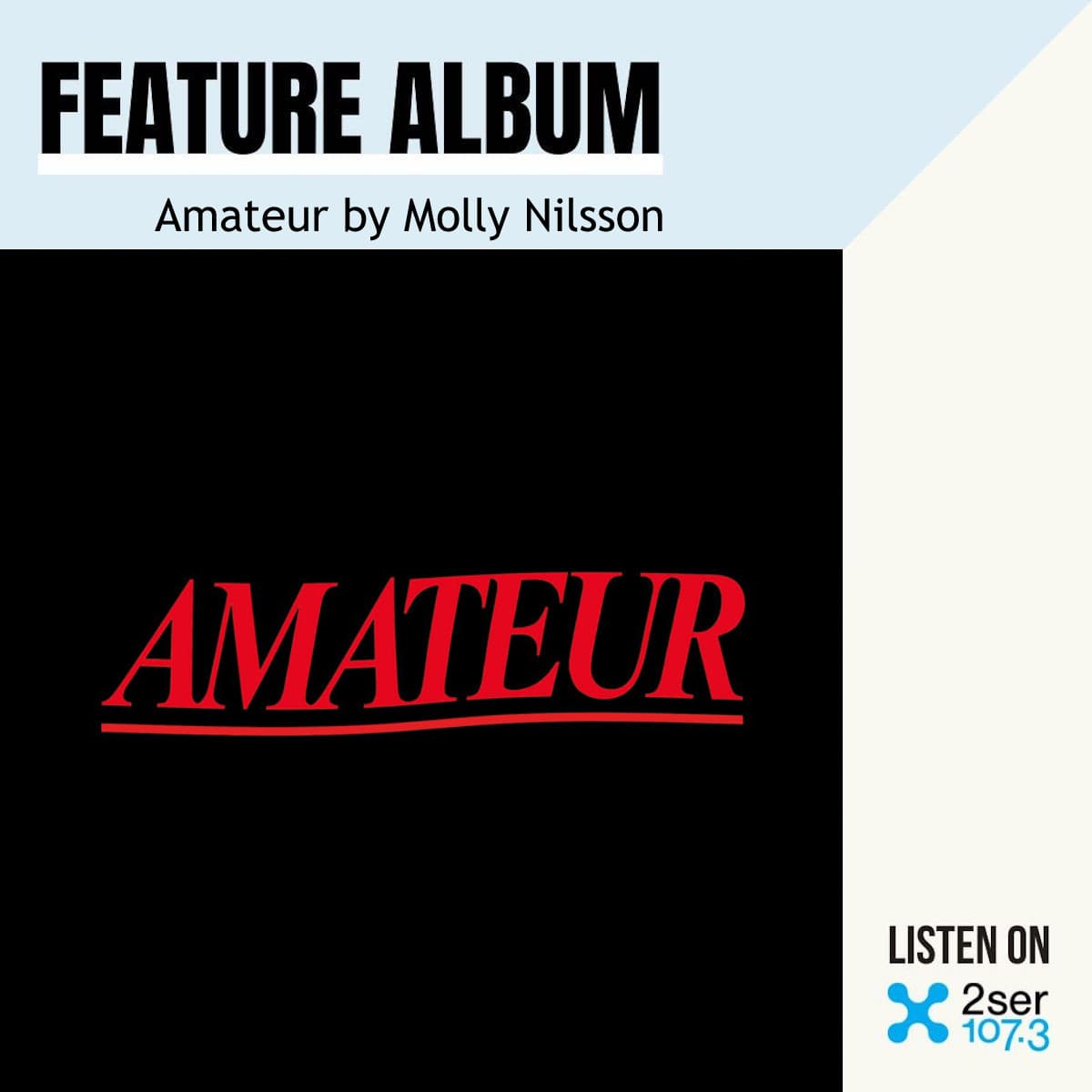 Amateur by Molly Nilsson