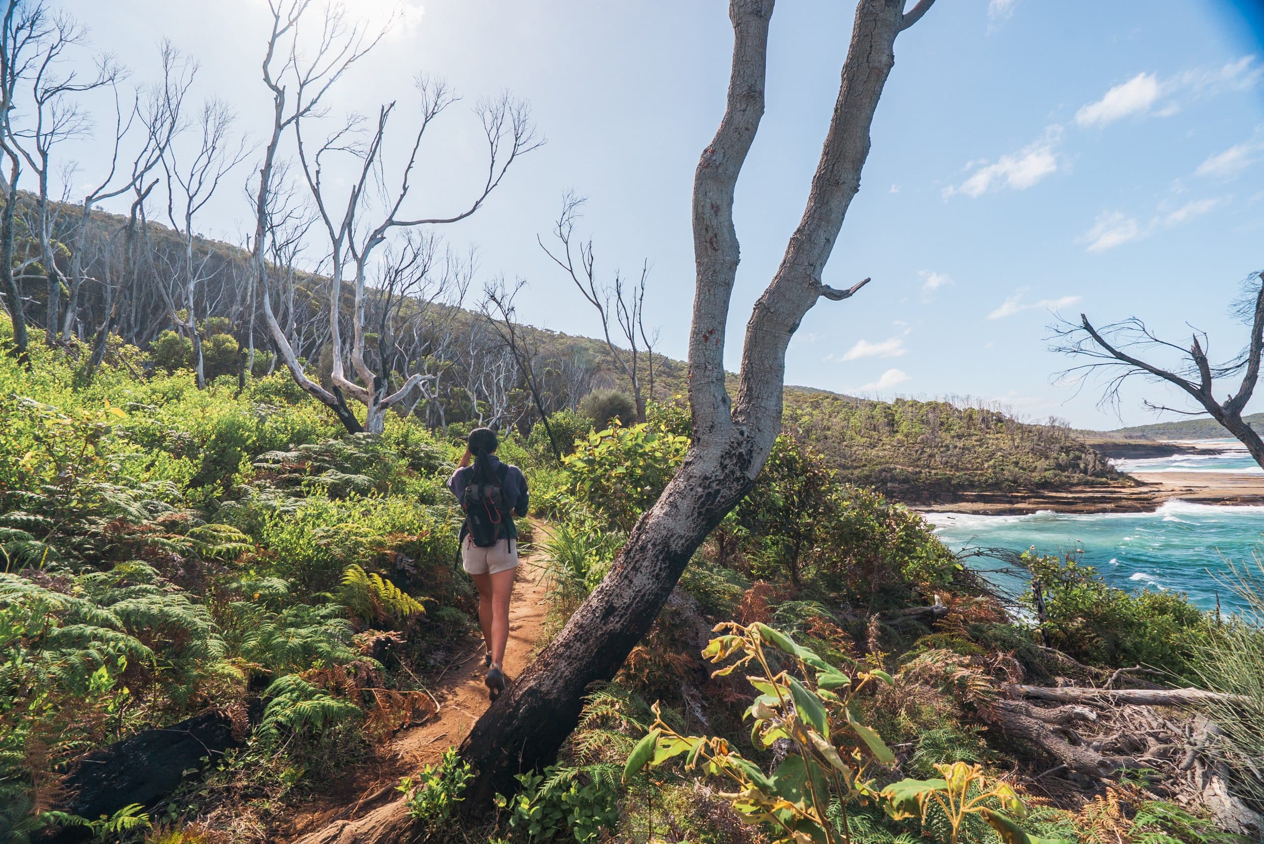 Get Away with Dre: Bushwalk to a secluded beach