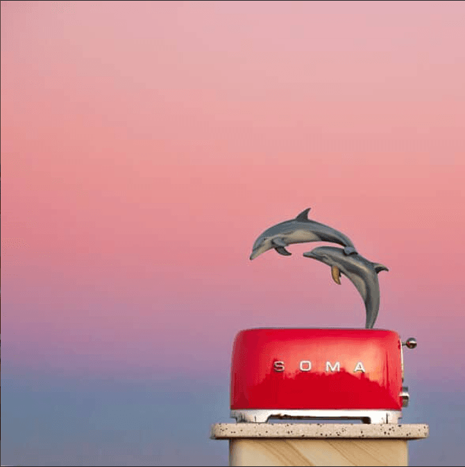 Dolphins jumping from toasters: What to see at Sculpture by the Sea