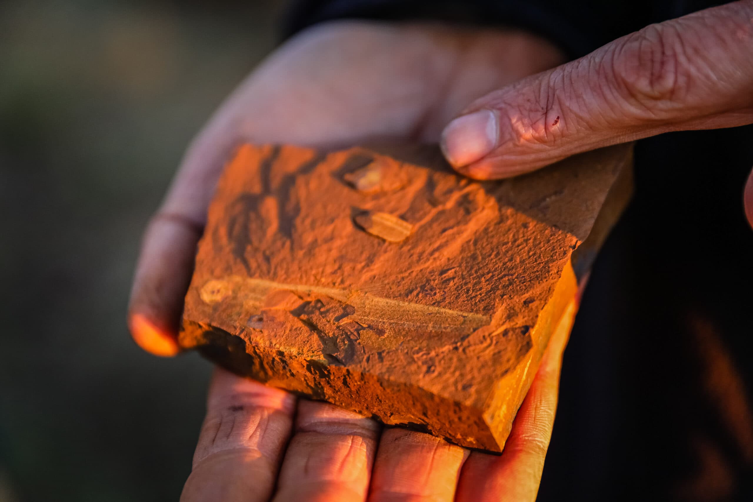 How findings of unusual red rocks are changing the way fossils are found in Australia