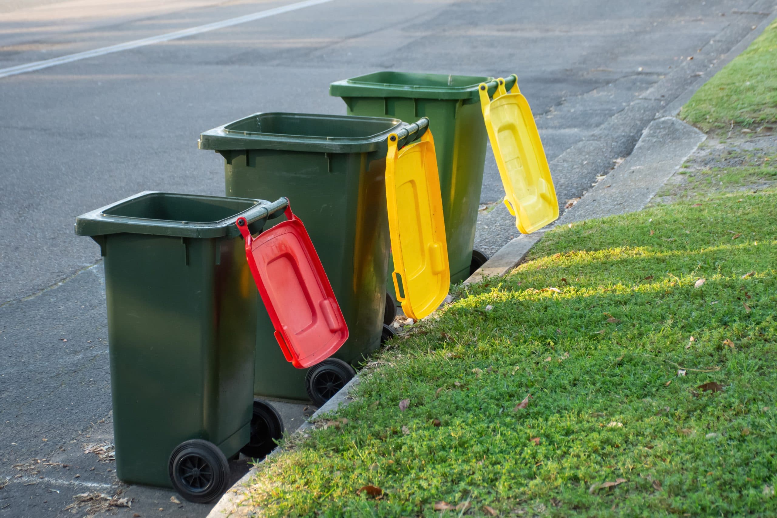 Rubbish wheelie bins with red or yellow lids along a suburban street ready for council collection.