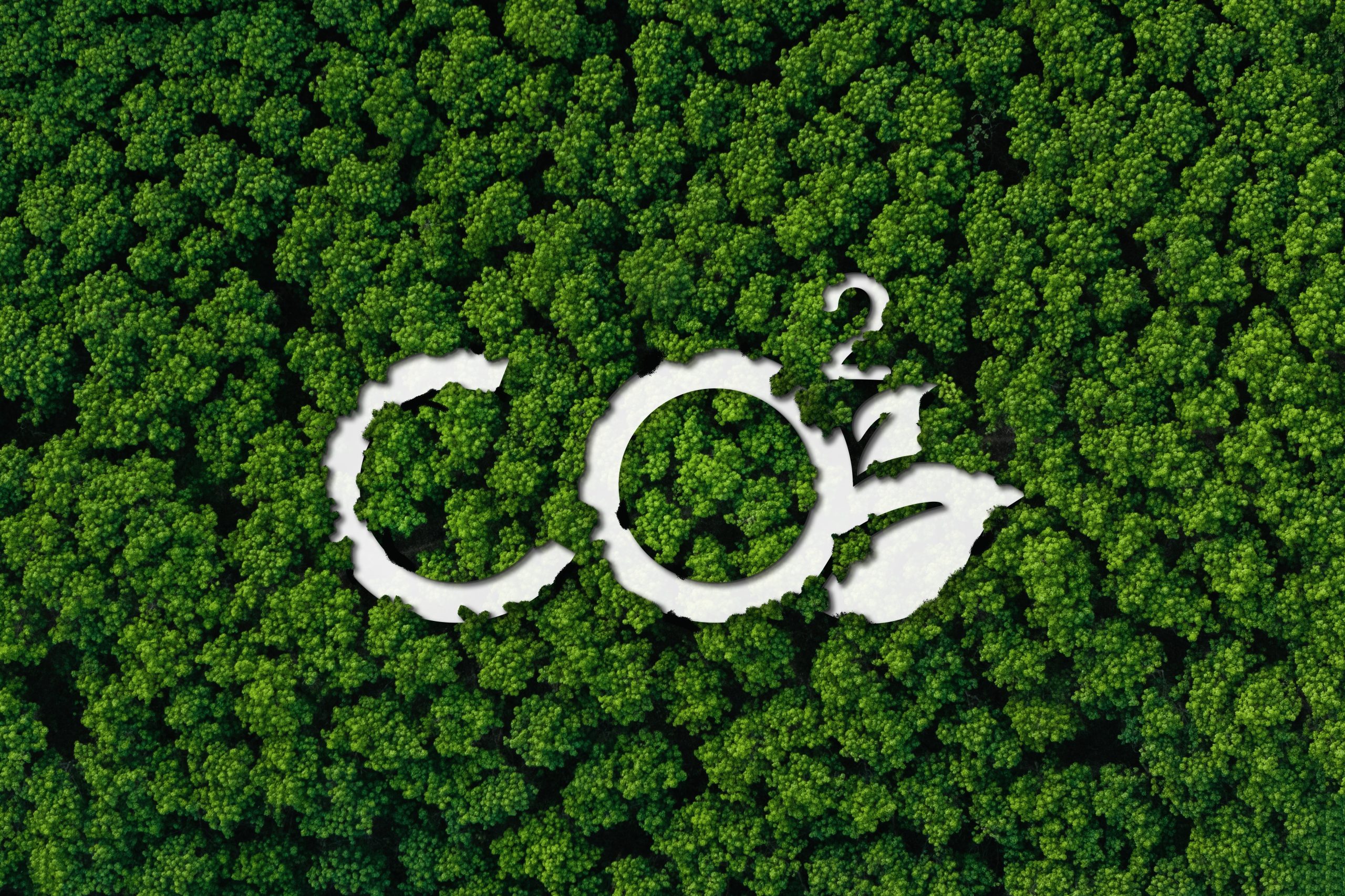 Carbon Credits and taxation could be the step to reducing emissions