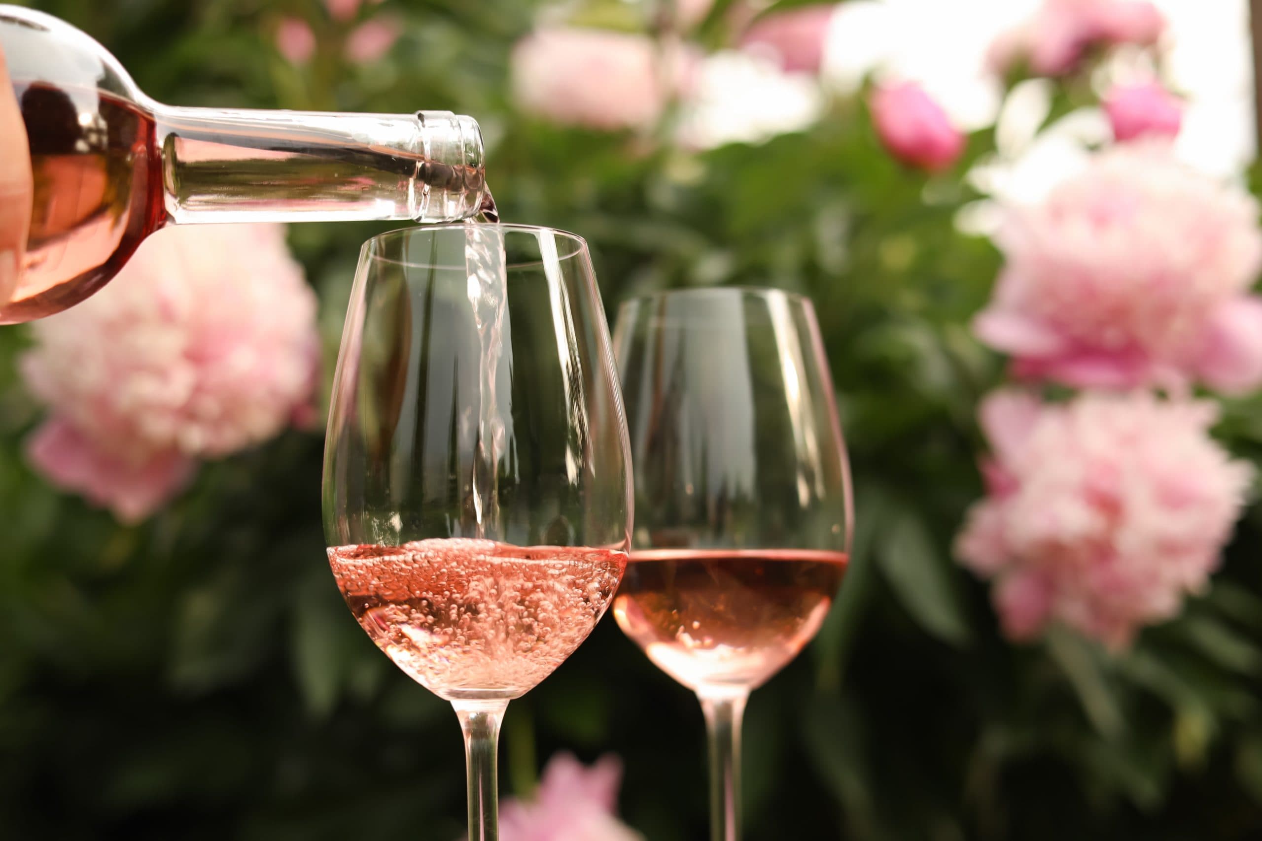 Wine Chat: Rosé