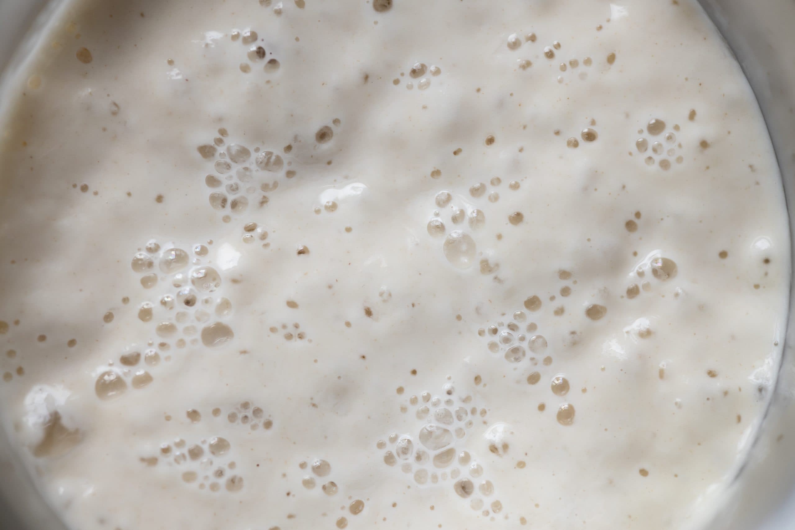 Wine Chat: Yeast