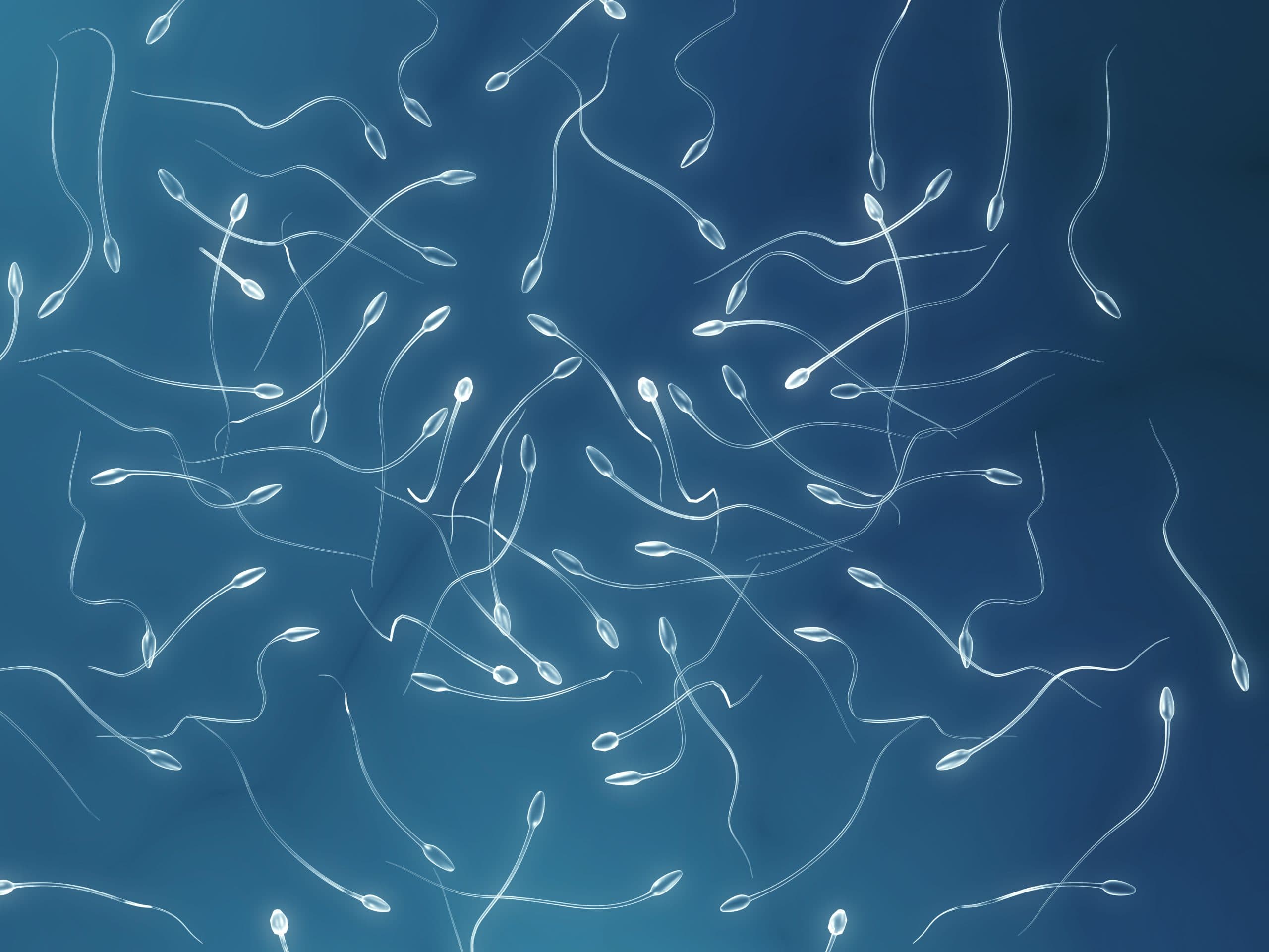 The Declining Sperm Count Mystery