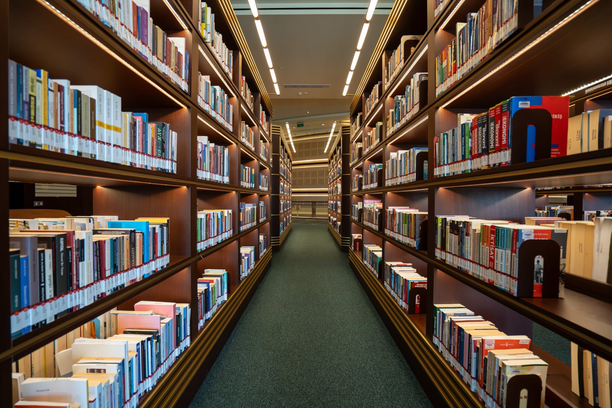 The Importance of Public Libraries