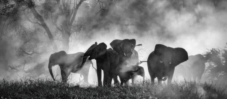 Antenna Film Festival 2026